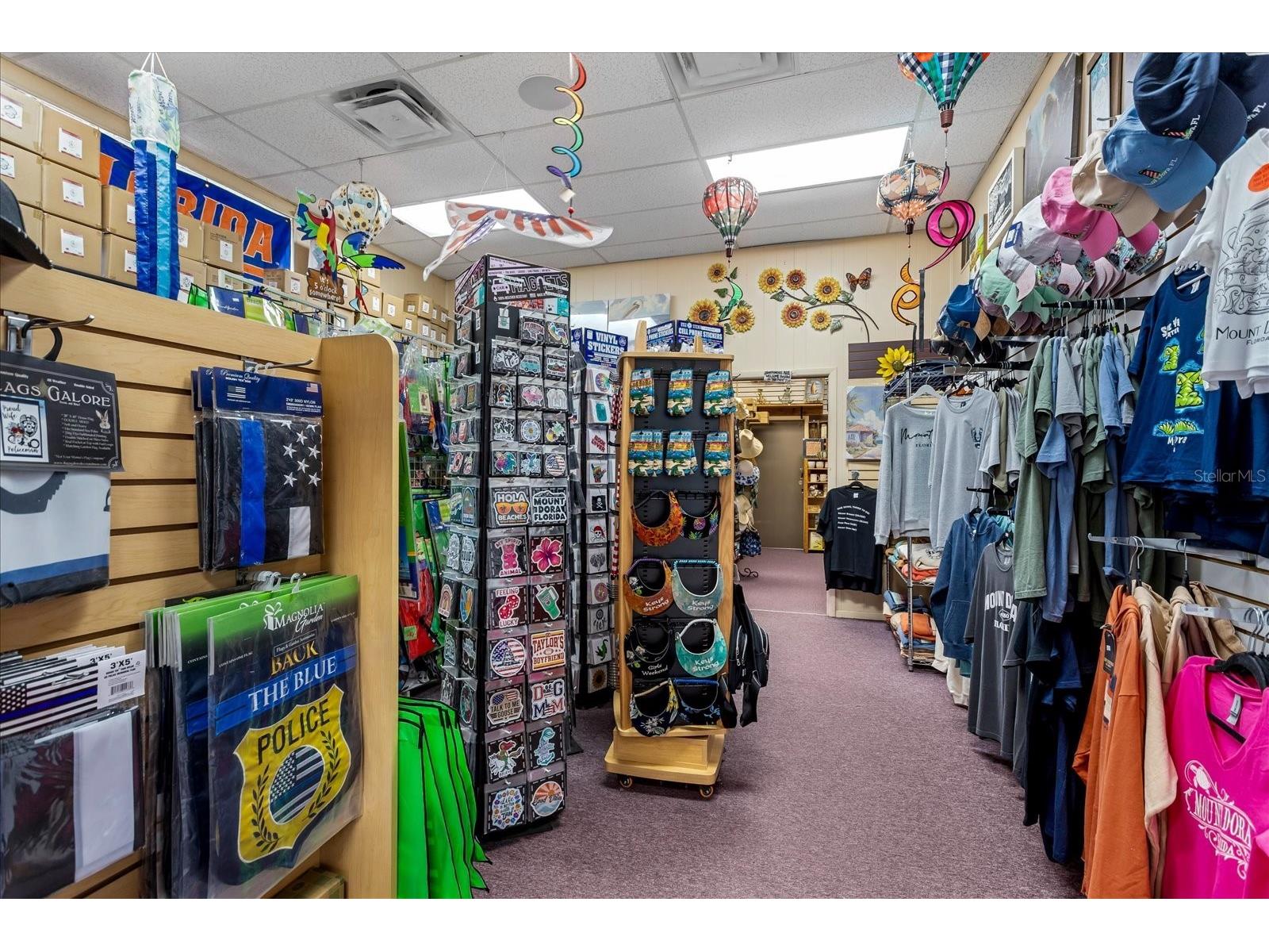 317 N Donnelly Mount Dora FL 32757 O6414493 image7