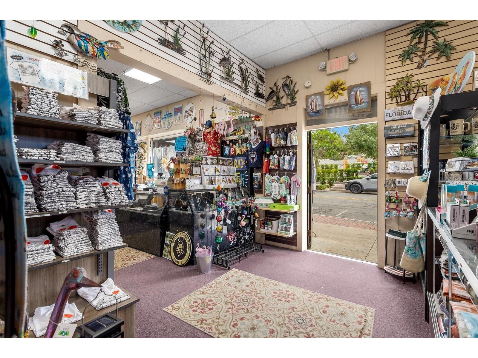 317 N Donnelly Mount Dora FL 32757 O6414493 image9