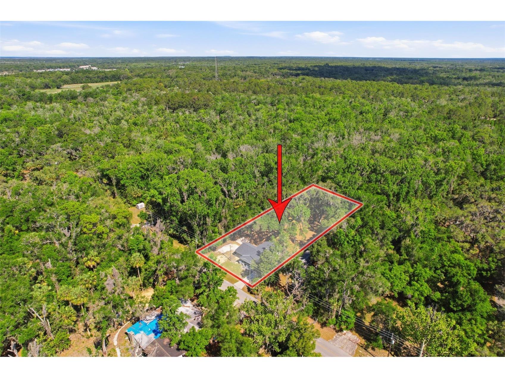317 NE 13th Terrace Crystal River FL 34428 W7885506 image3