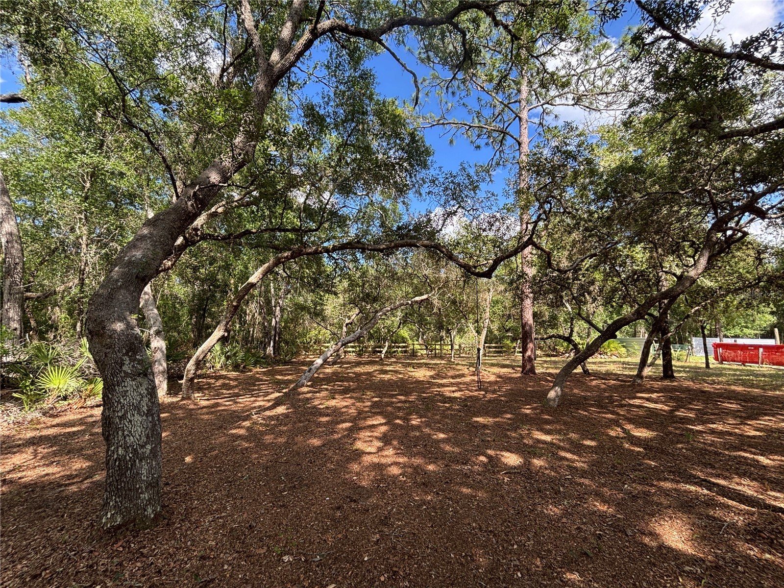317 NE 172nd Avenue Silver Springs FL 34488 OM724965 image12
