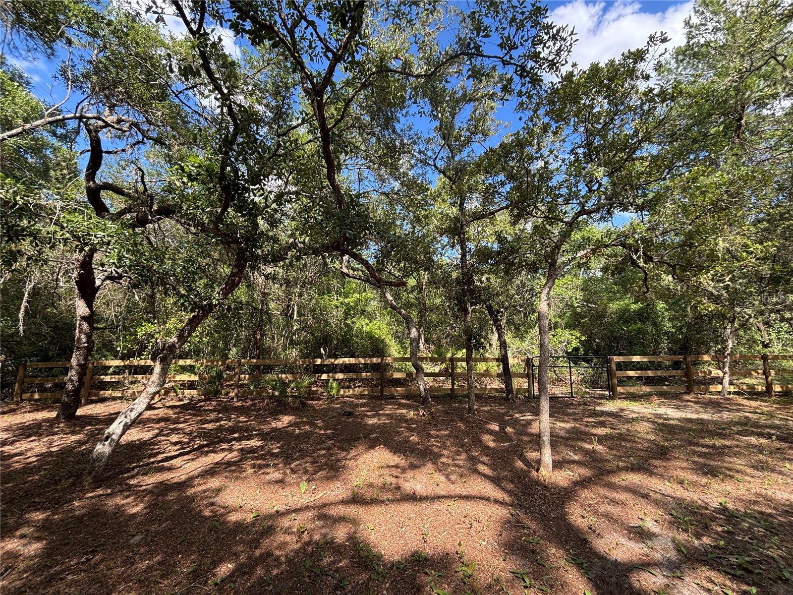 317 NE 172nd Avenue Silver Springs FL 34488 OM724965 image14