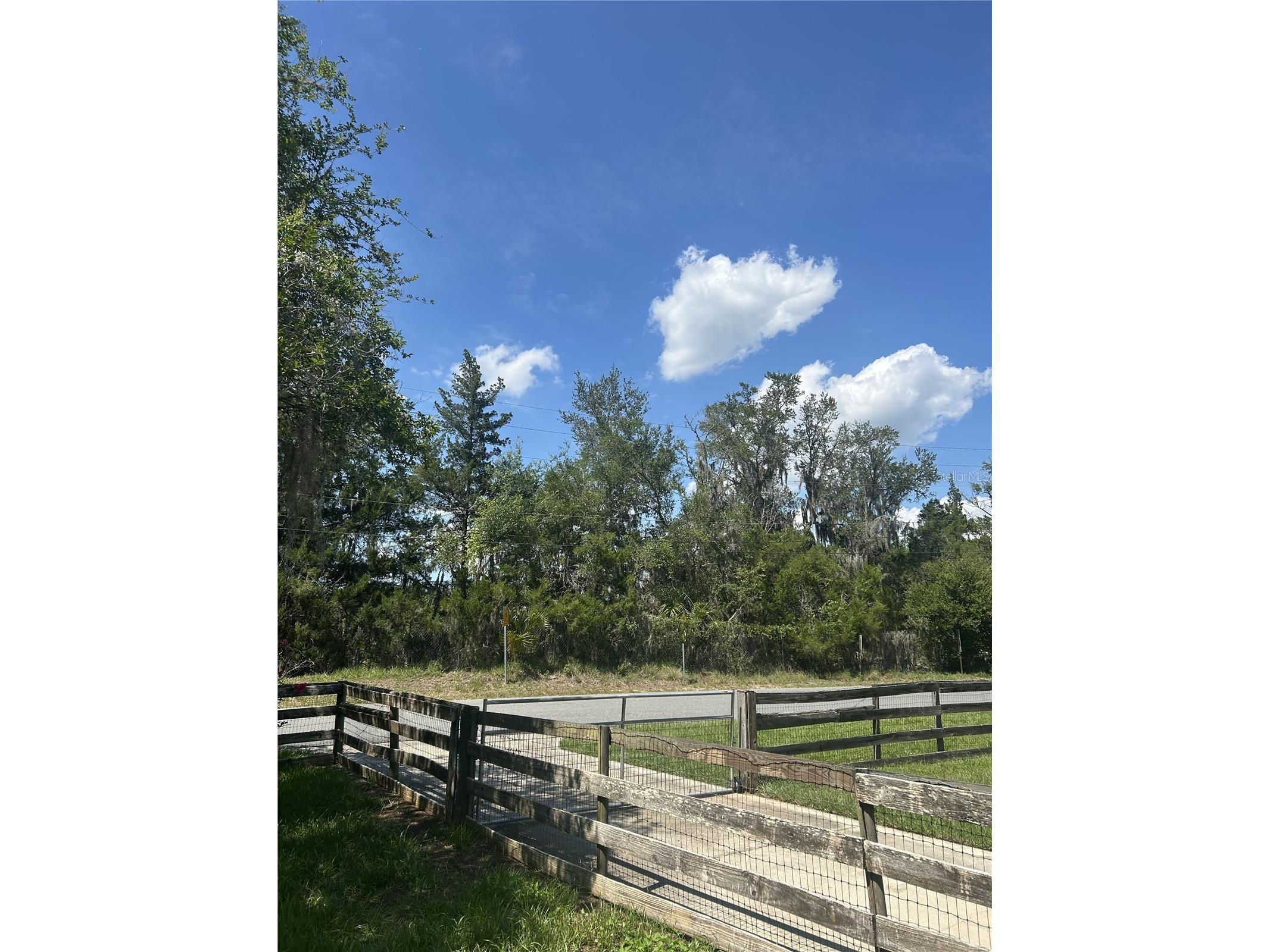 317 NE 4th Avenue Williston FL 32696 GC541439 image46