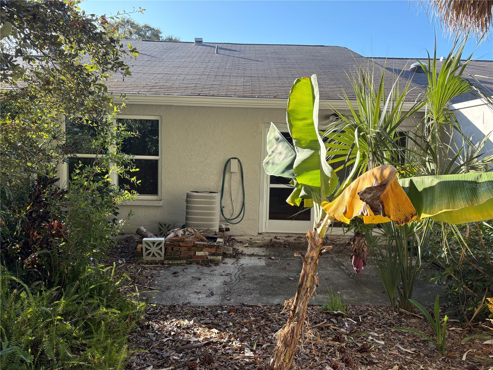 317 Plymouth Street Safety Harbor FL 34695 TB8463544 image33