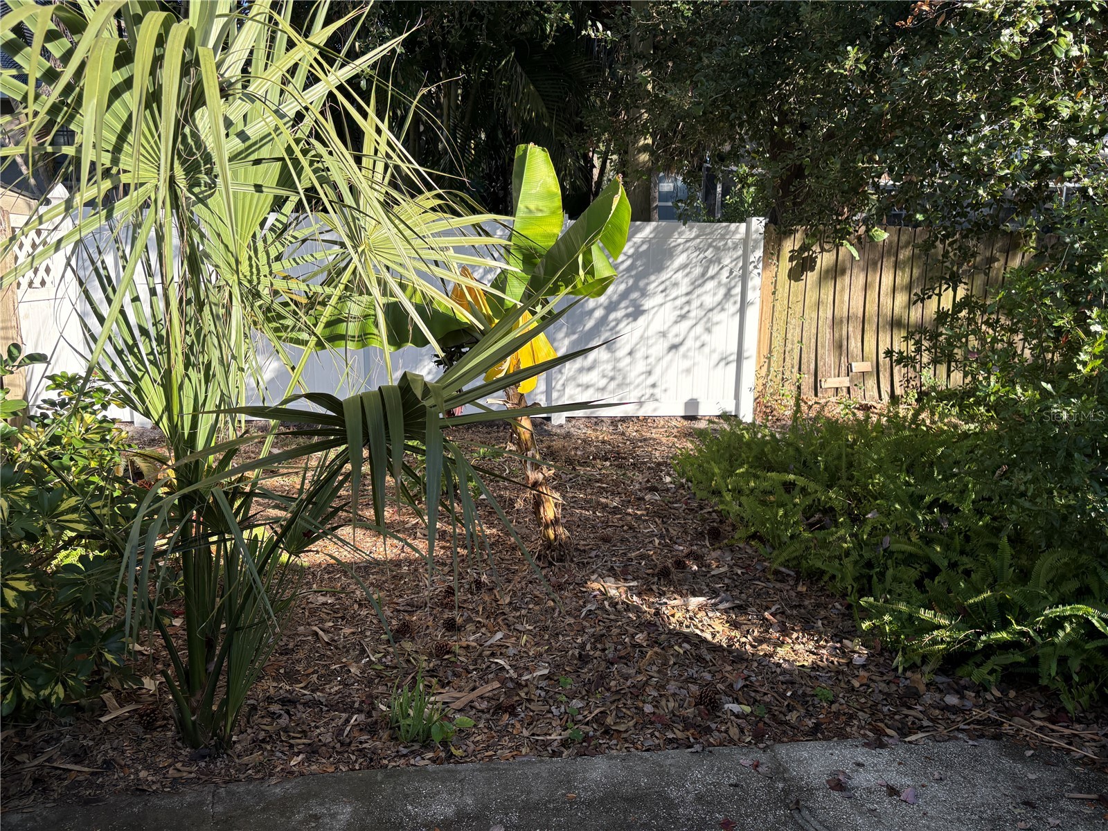 317 Plymouth Street Safety Harbor FL 34695 TB8463544 image34