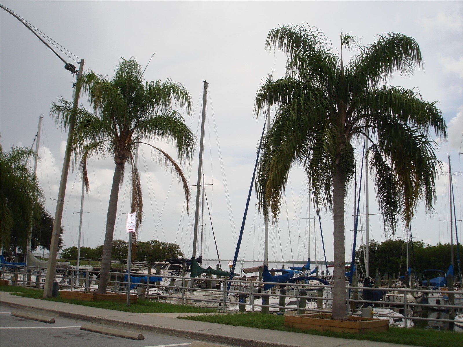 317 Plymouth Street Safety Harbor FL 34695 TB8463544 image36