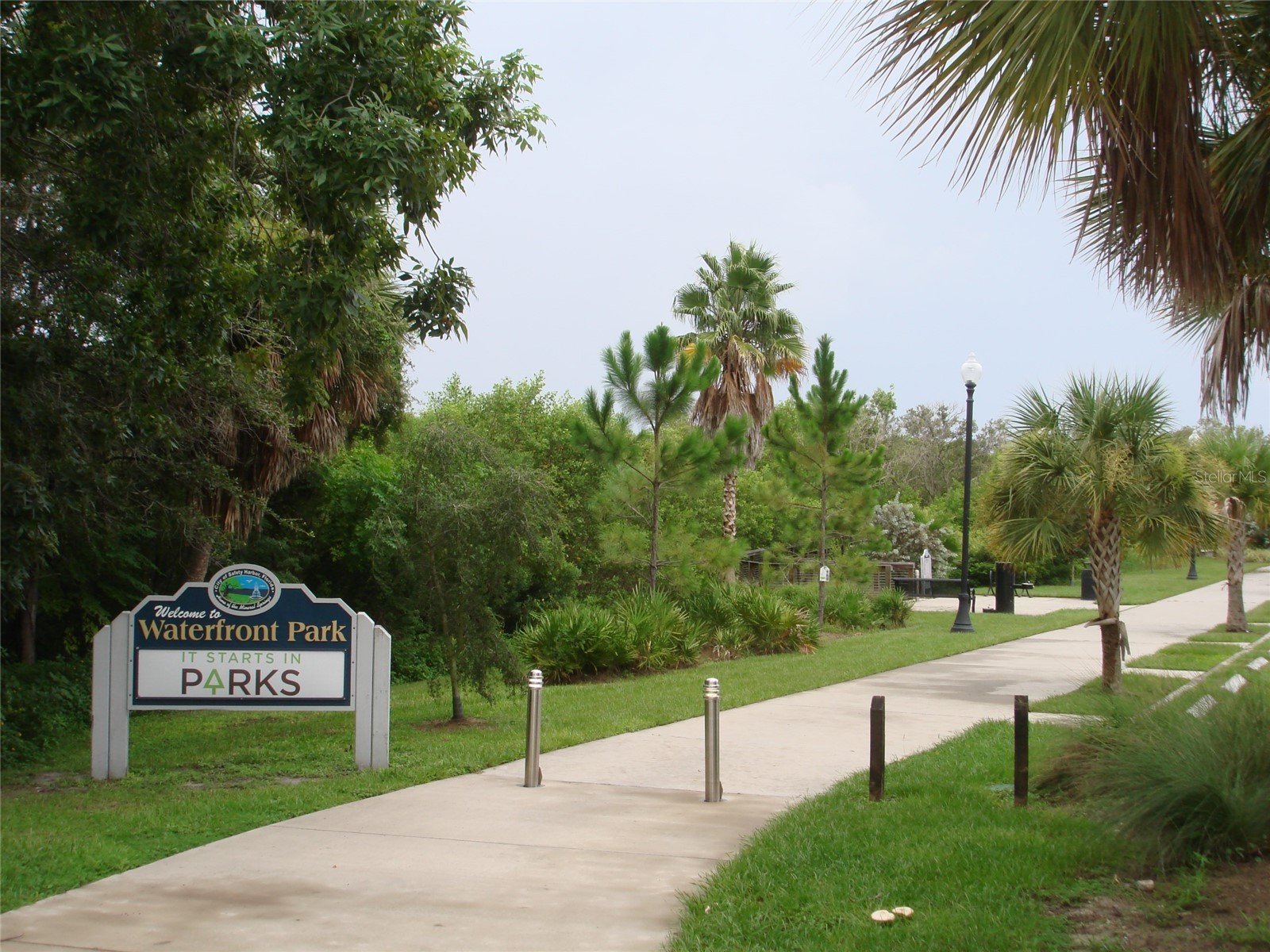 317 Plymouth Street Safety Harbor FL 34695 TB8463544 image37