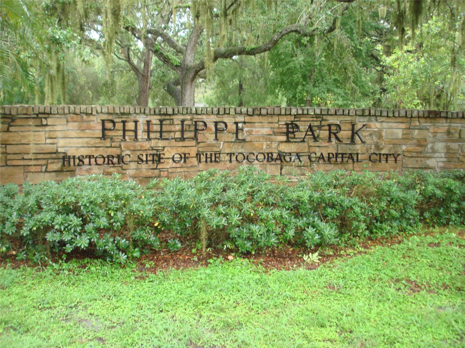 317 Plymouth Street Safety Harbor FL 34695 TB8463544 image38