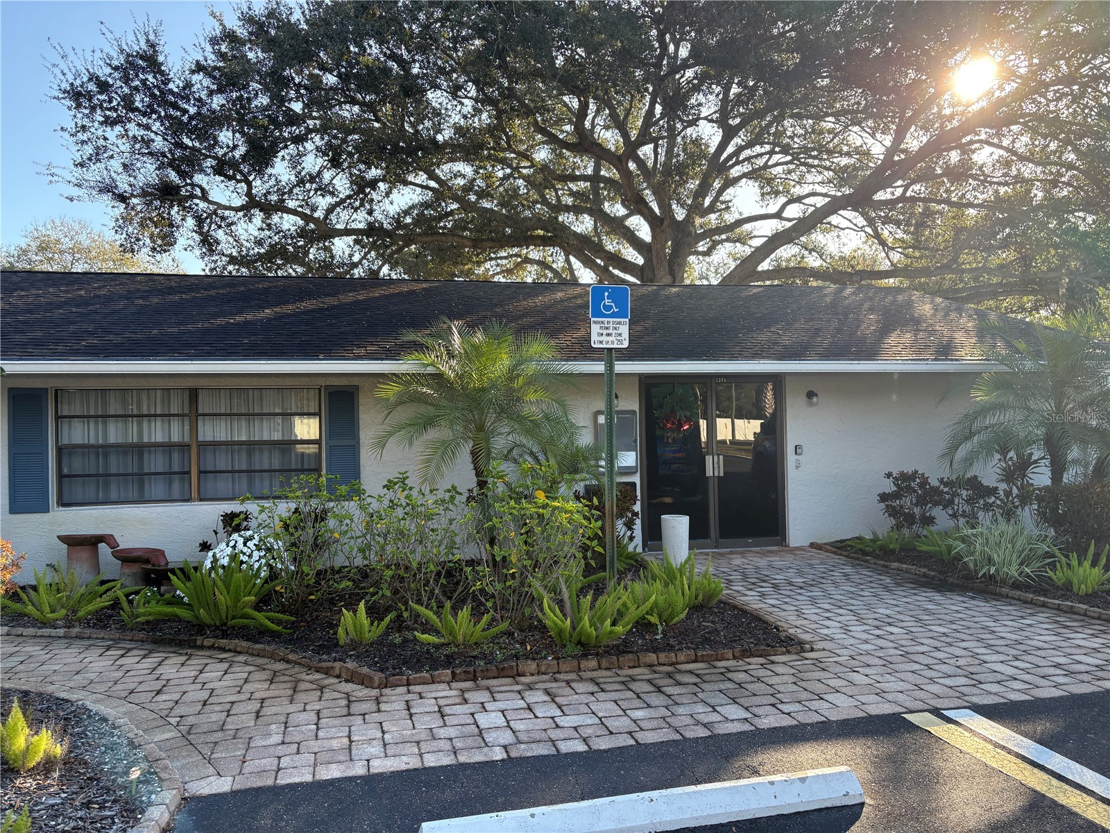 317 Plymouth Street Safety Harbor FL 34695 TB8463544 image7