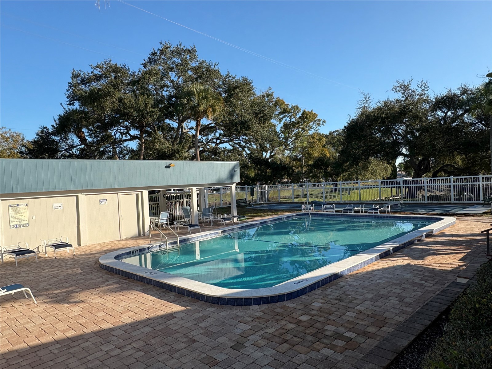 317 Plymouth Street Safety Harbor FL 34695 TB8463544 image8