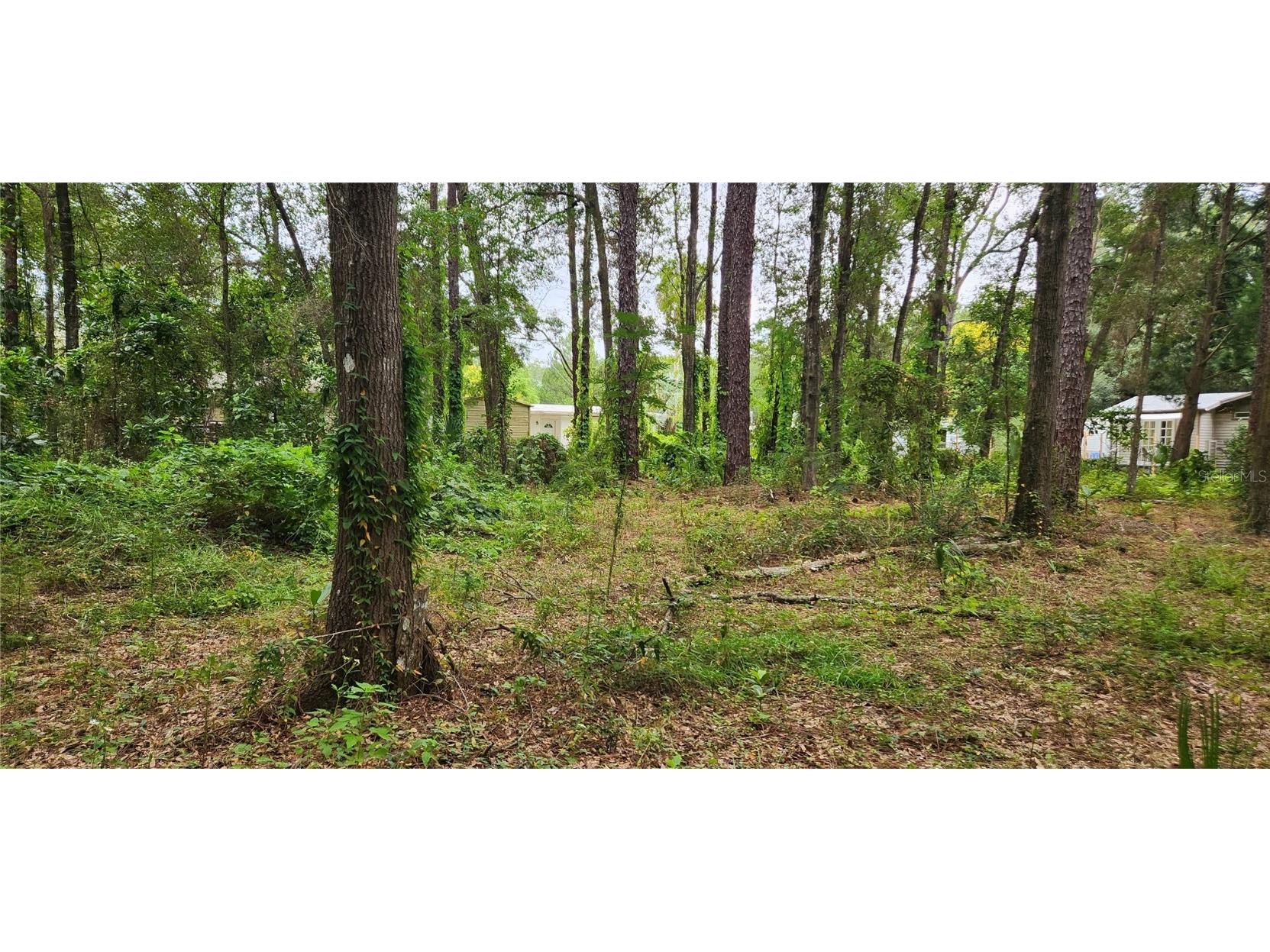 317 S Janice Terrace Lecanto FL 34461 W7858666 image1