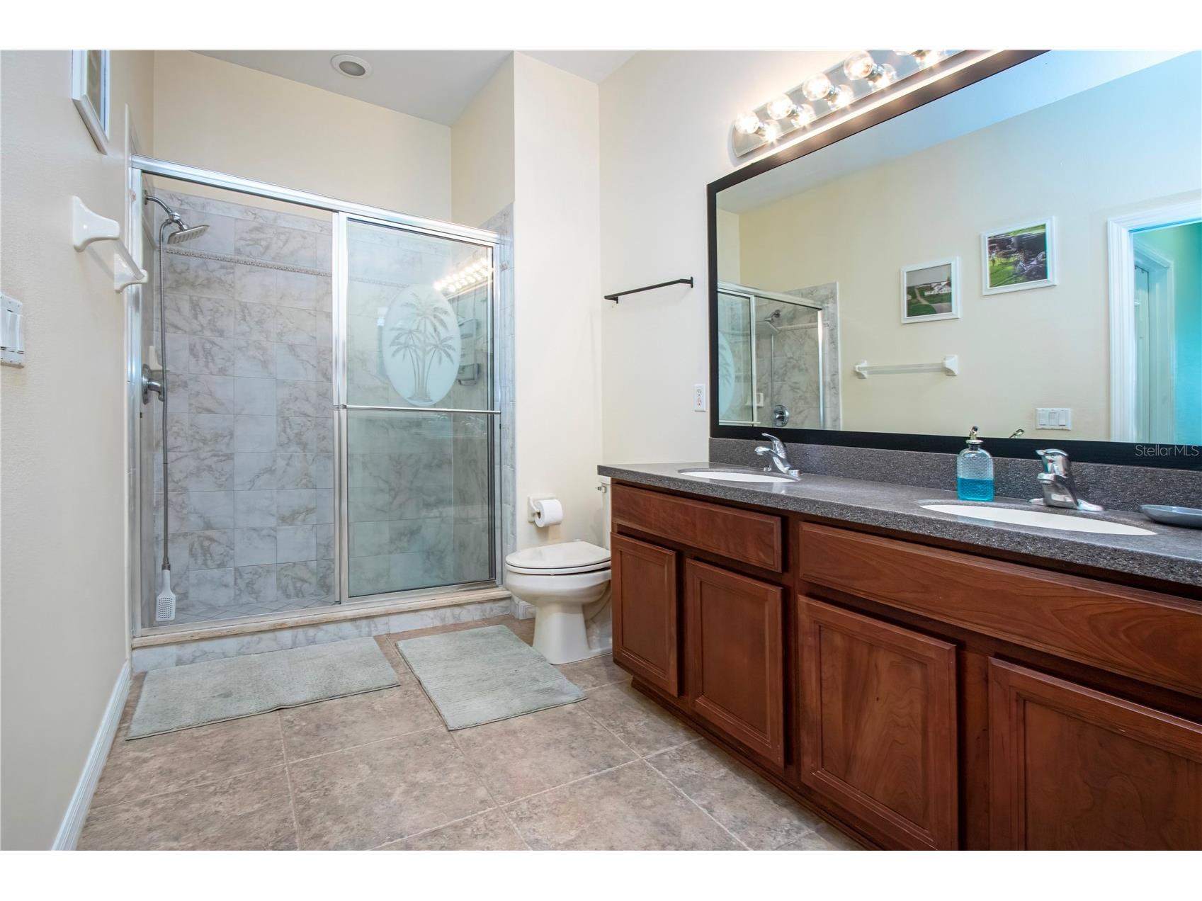 317 Seneca Falls Drive Apollo Beach FL 33572 TB8481698 image24