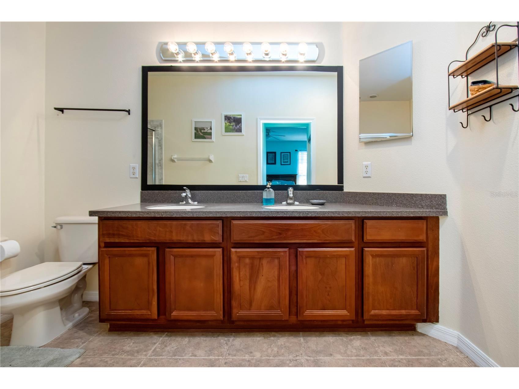 317 Seneca Falls Drive Apollo Beach FL 33572 TB8481698 image25