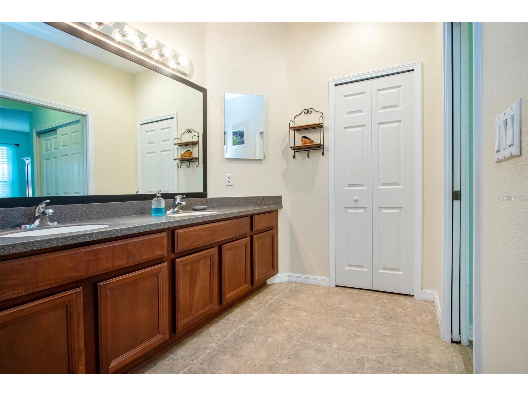 317 Seneca Falls Drive Apollo Beach FL 33572 TB8481698 image26