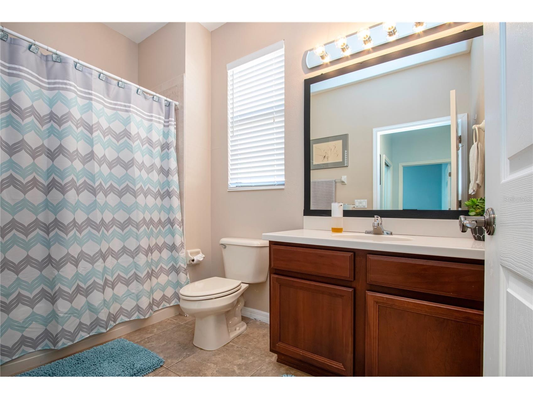 317 Seneca Falls Drive Apollo Beach FL 33572 TB8481698 image29