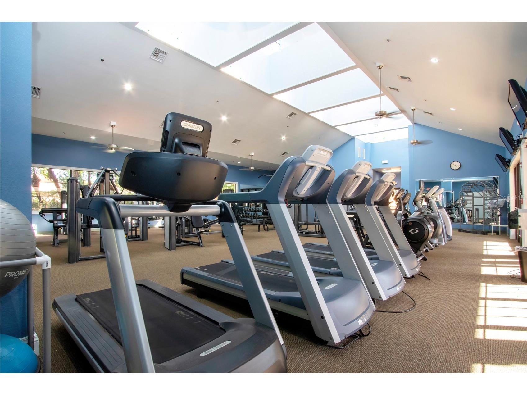 317 Seneca Falls Drive Apollo Beach FL 33572 TB8481698 image40