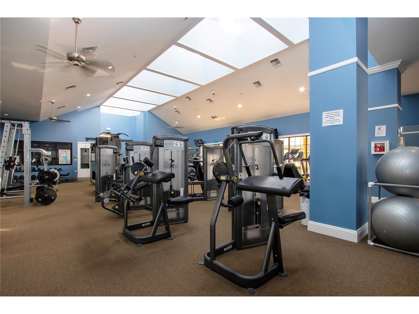 317 Seneca Falls Drive Apollo Beach FL 33572 TB8481698 image41