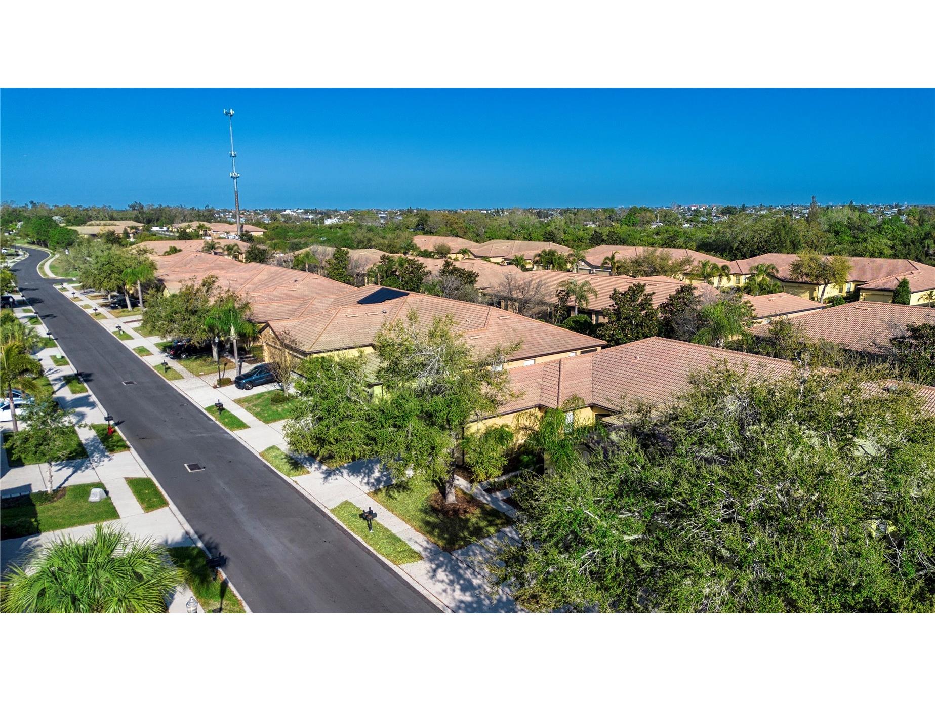 317 Seneca Falls Drive Apollo Beach FL 33572 TB8481698 image5