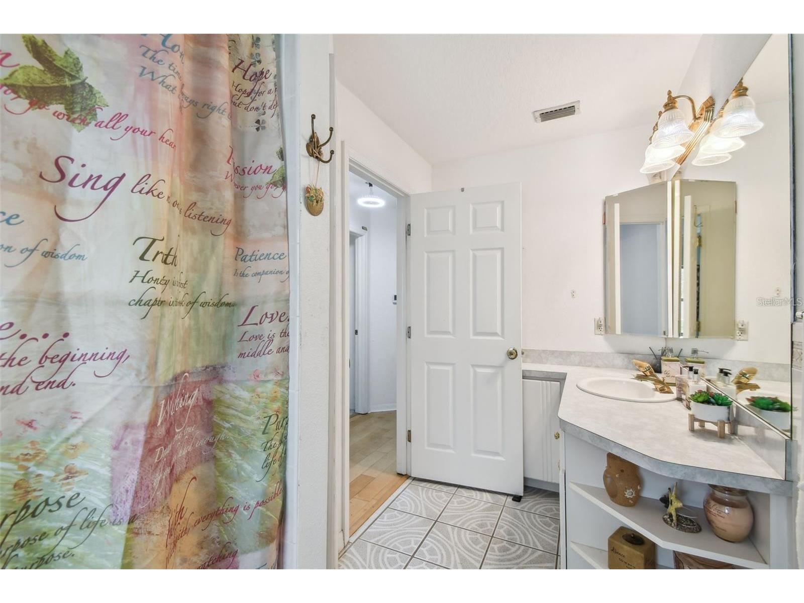 317 Shore Drive E Oldsmar FL 34677 FC315737 image33