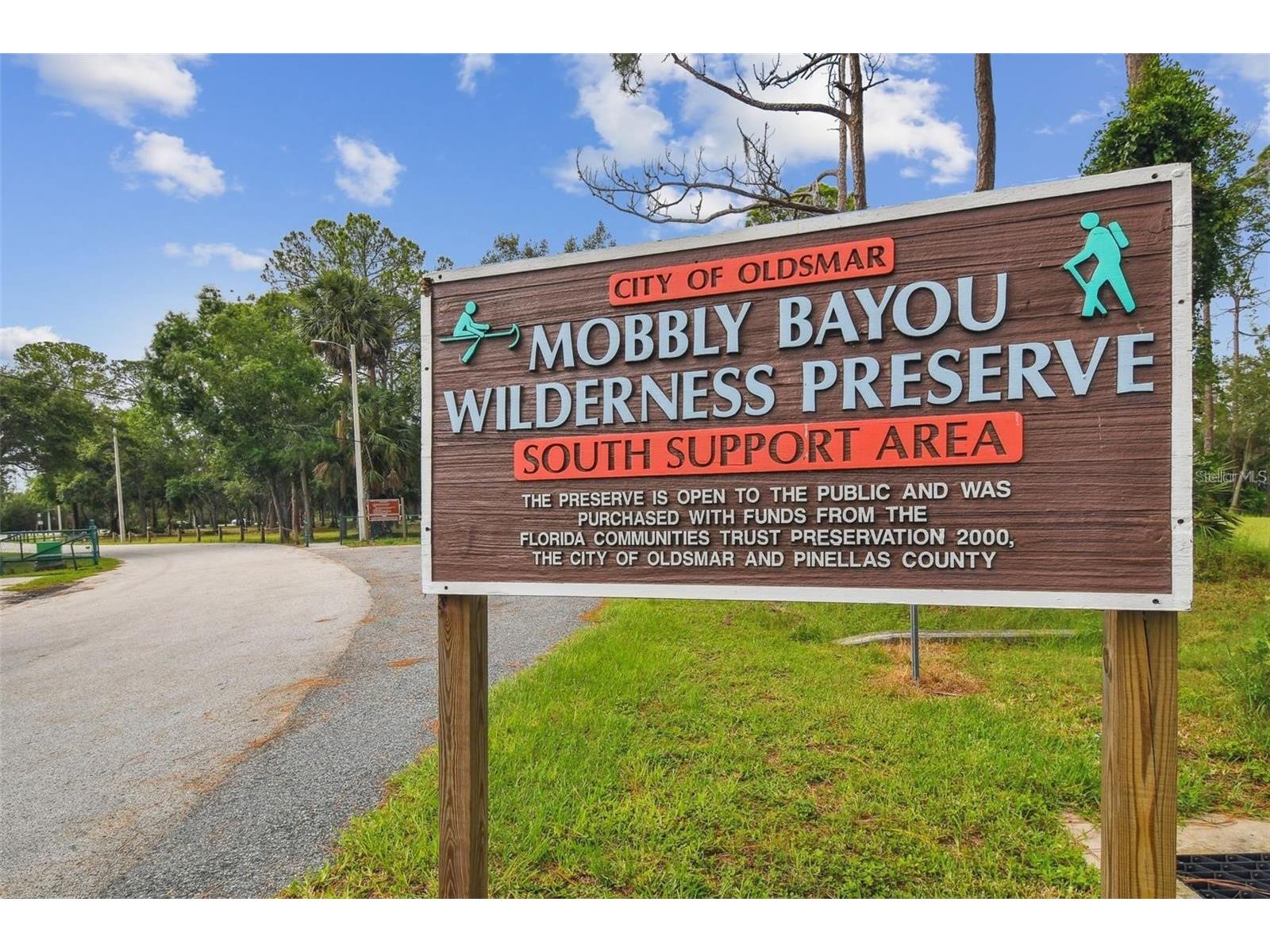 317 Shore Drive E Oldsmar FL 34677 FC315737 image39