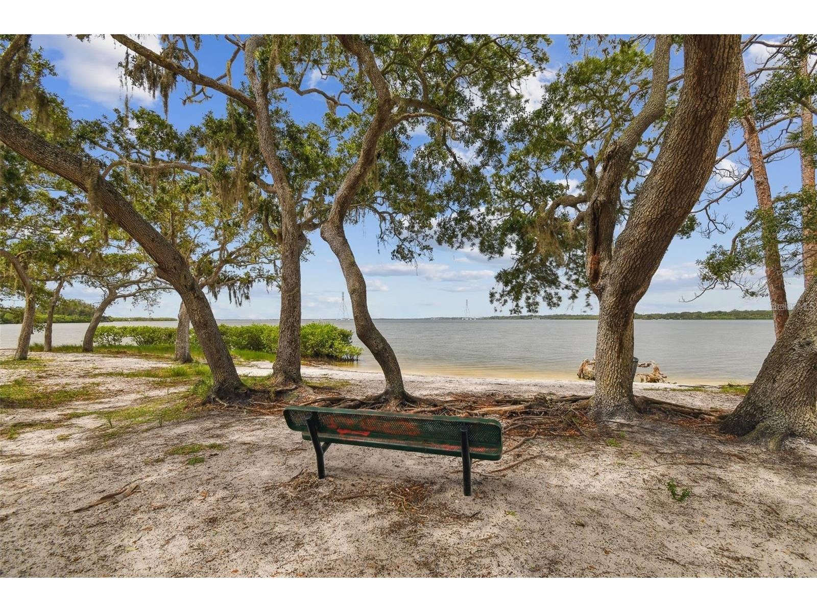 317 Shore Drive E Oldsmar FL 34677 FC315737 image42
