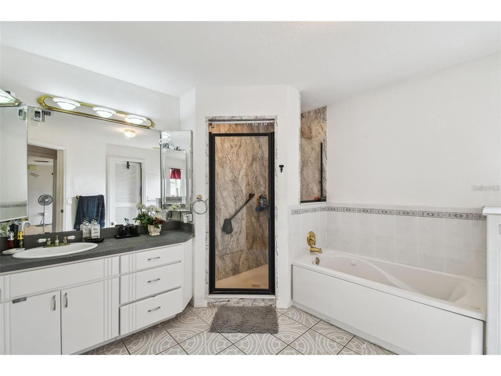 317 Shore Drive E Oldsmar FL 34677 FC315737 image7