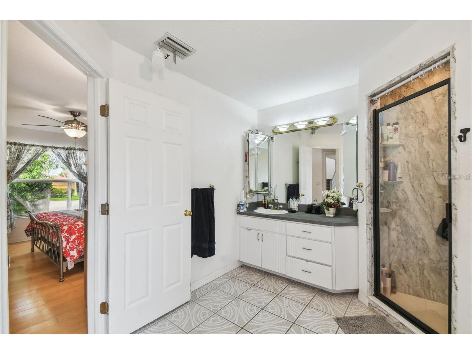 317 Shore Drive E Oldsmar FL 34677 FC315737 image8