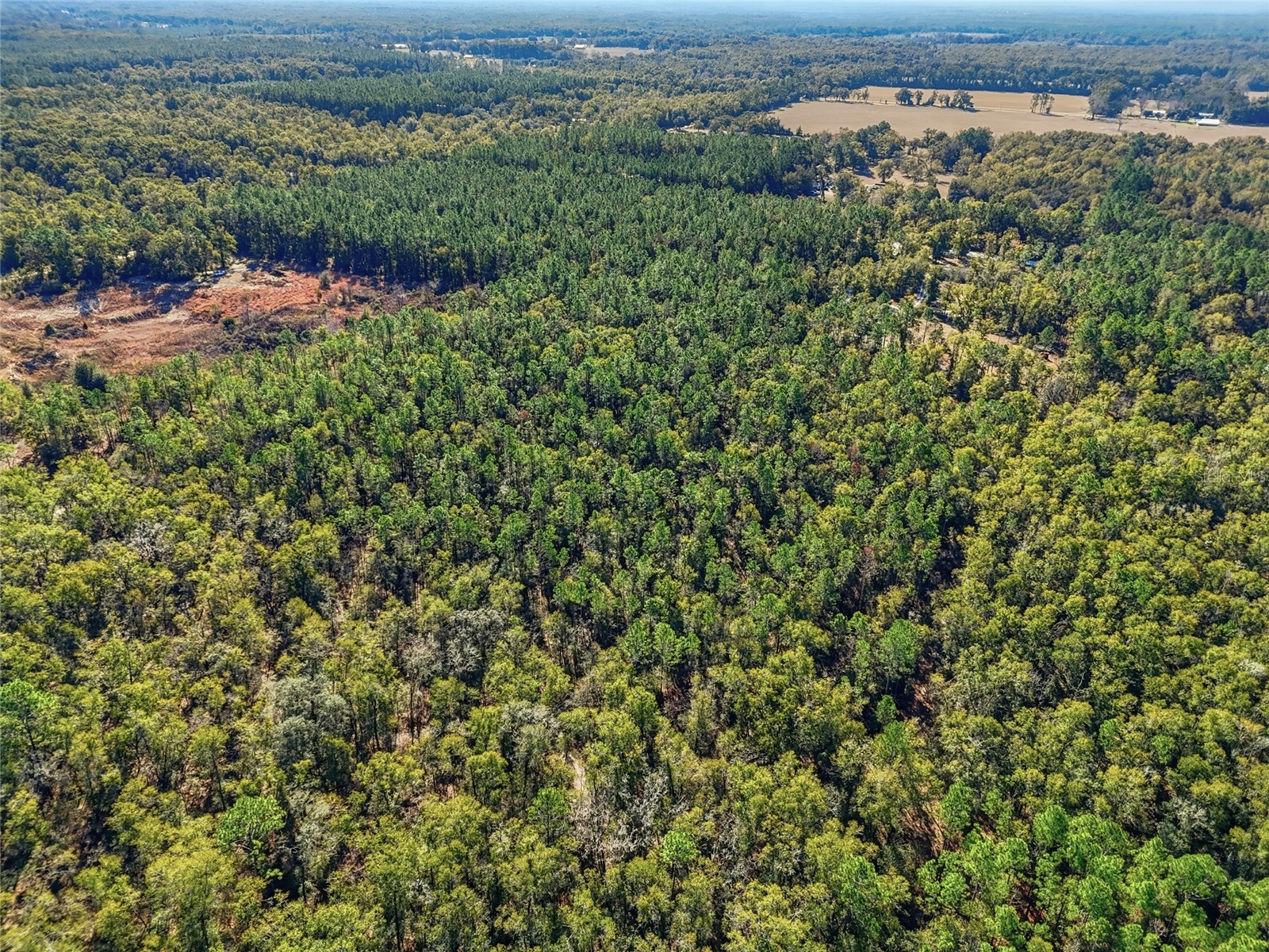 317 SW Cumberland Street Fort White FL 32038 GC536254 image22