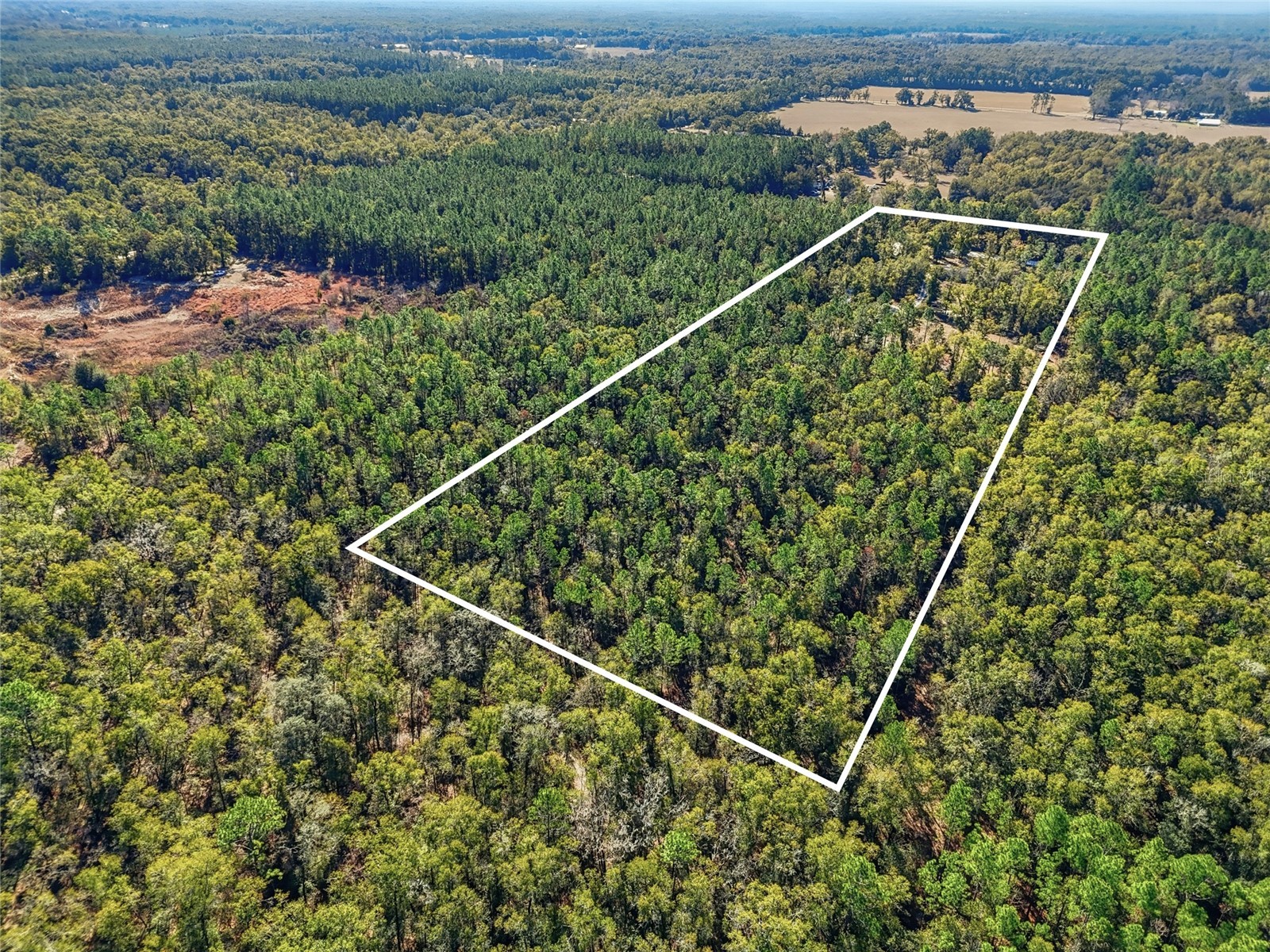 317 SW Cumberland Street Fort White FL 32038 GC536254 image23