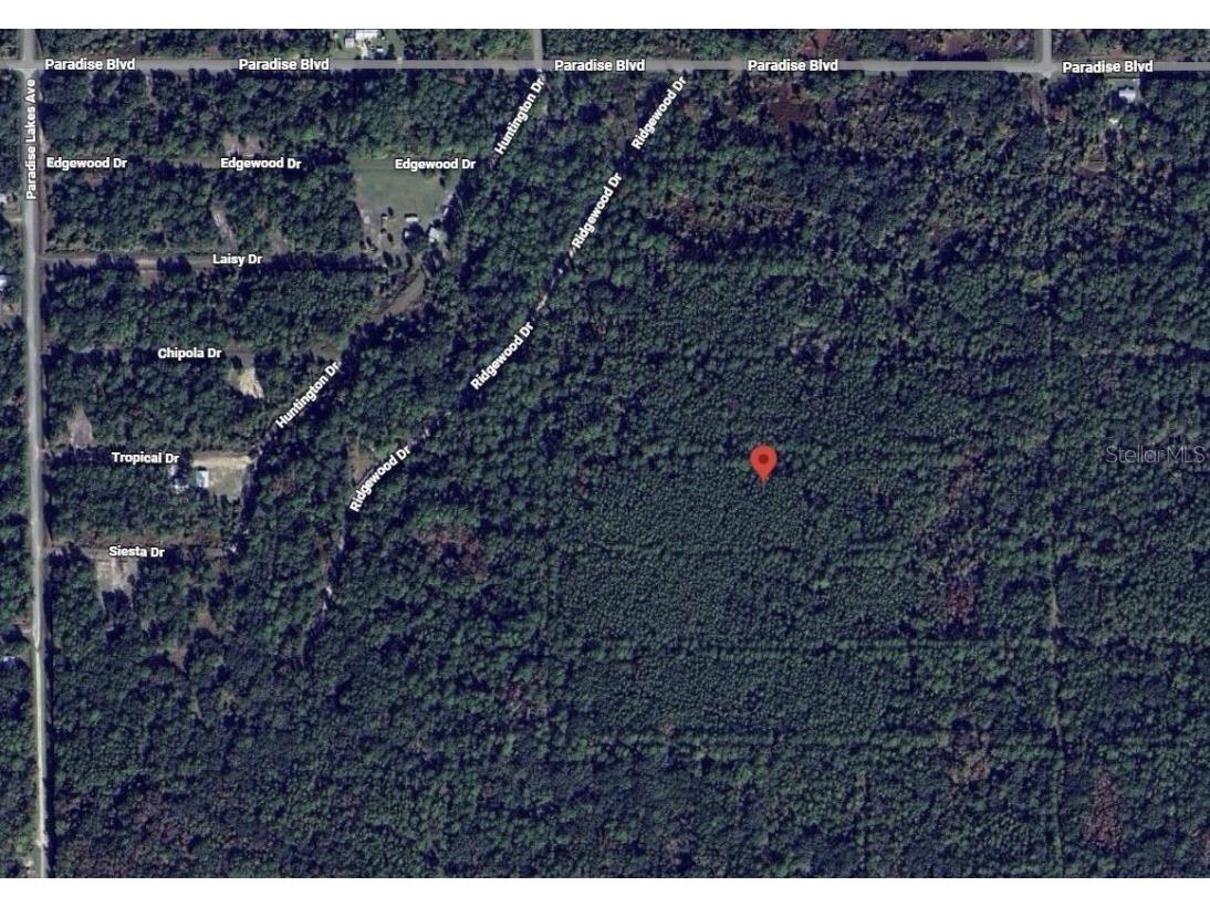 317 Tropical Drive Georgetown FL 32139 OK225581 image1