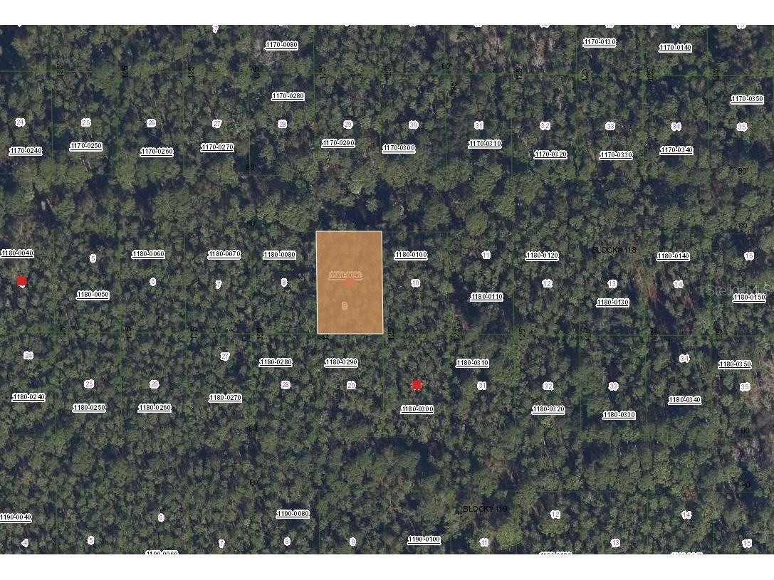 317 Tropical Drive Georgetown FL 32139 OK225581 image2