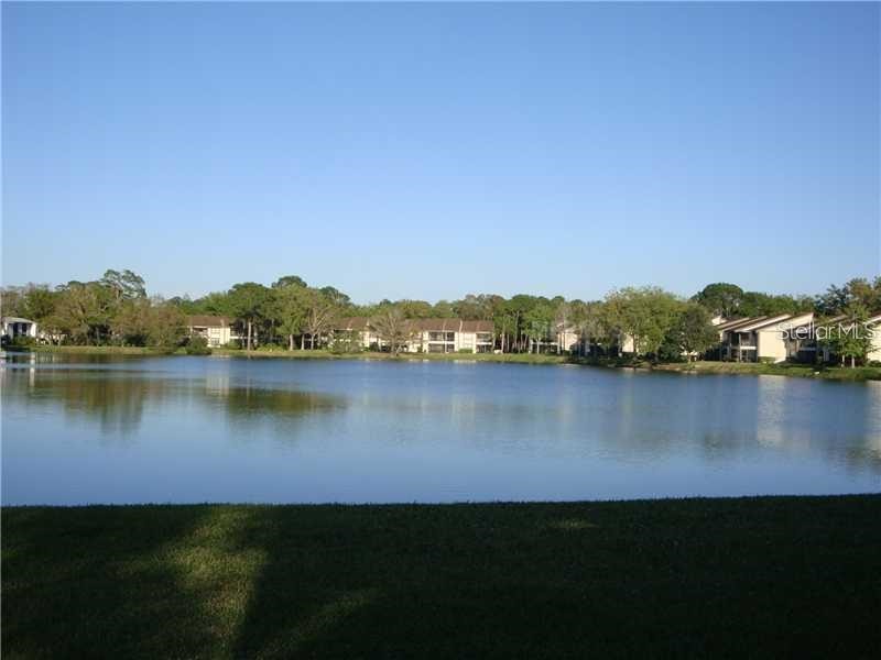317 Woodlake Wynde #317 Oldsmar FL 34677 J968895 image1