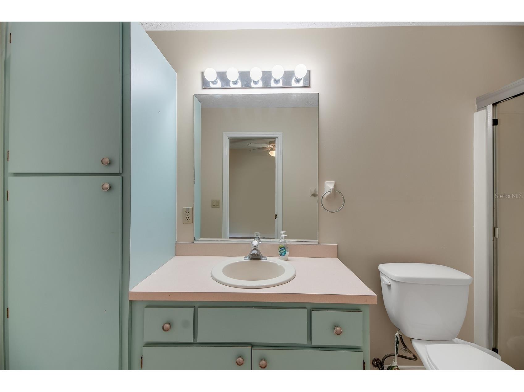 317 Woodland Trail Lady Lake FL 32159 G5112589 image39