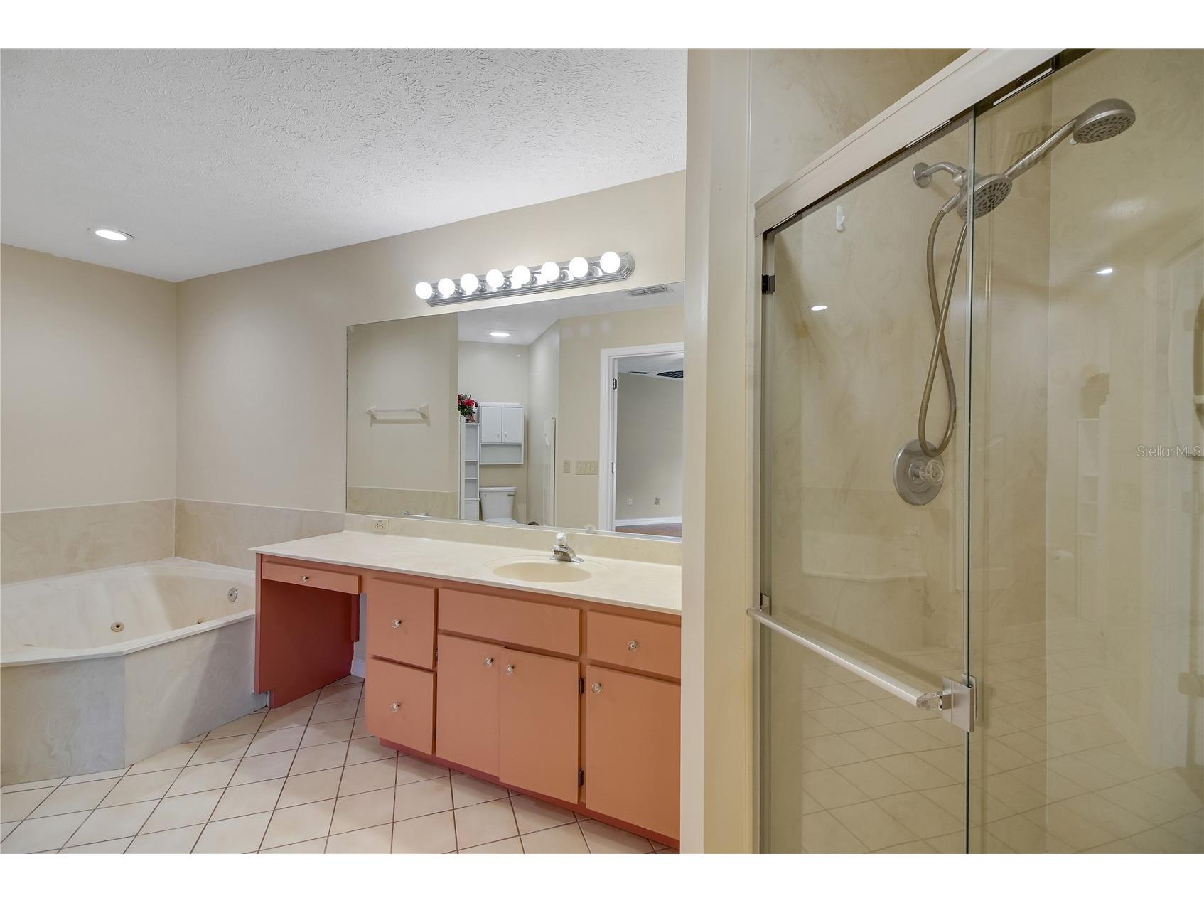 317 Woodland Trail Lady Lake FL 32159 G5112589 image53