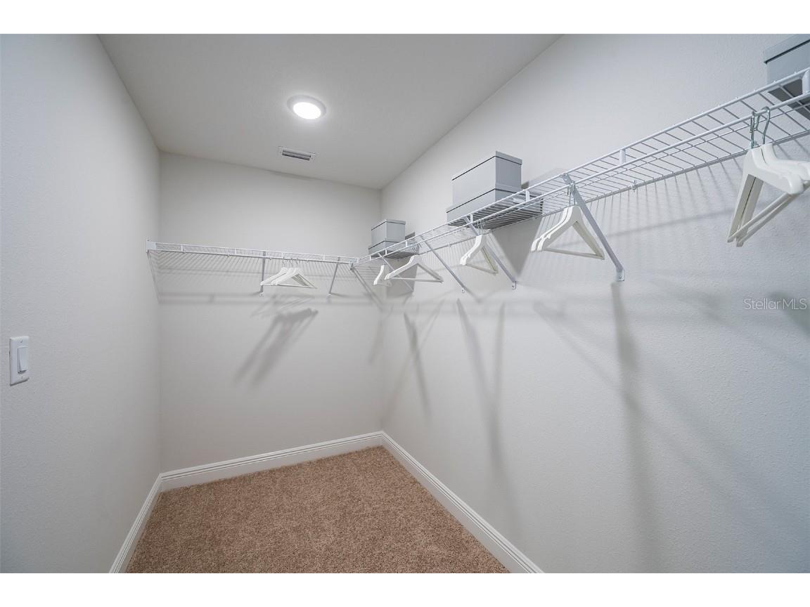 31702 Chateau Manor Lane Wesley Chapel FL 33545 TB8445317 image16