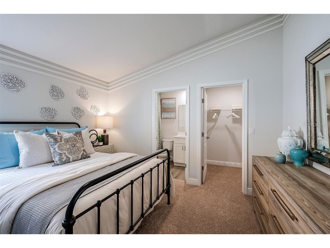 31702 Chateau Manor Lane Wesley Chapel FL 33545 TB8445317 image17