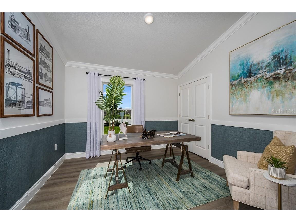 31702 Chateau Manor Lane Wesley Chapel FL 33545 TB8445317 image19