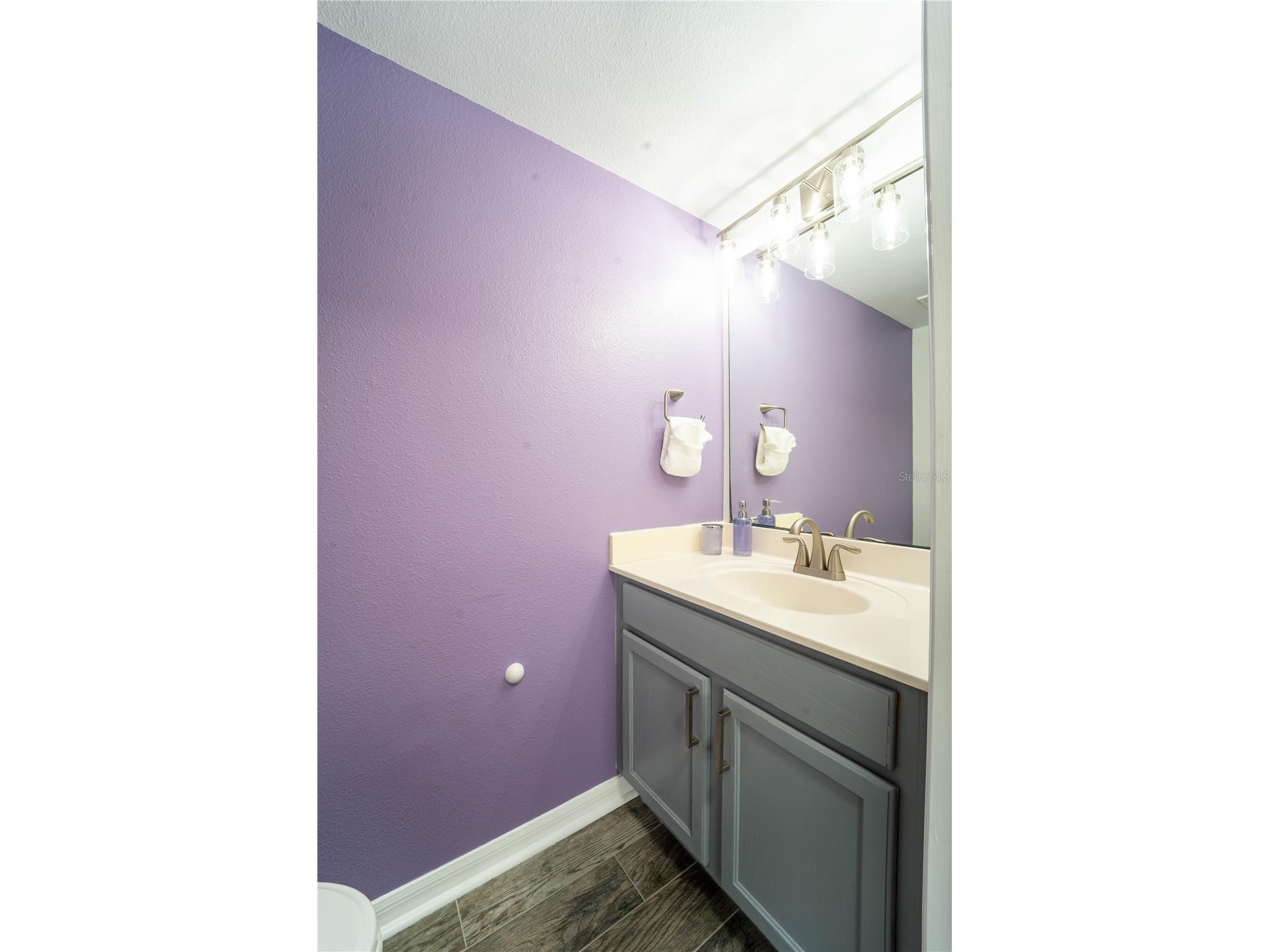 31704 Shin Court Wesley Chapel FL 33545 TB8506456 image23