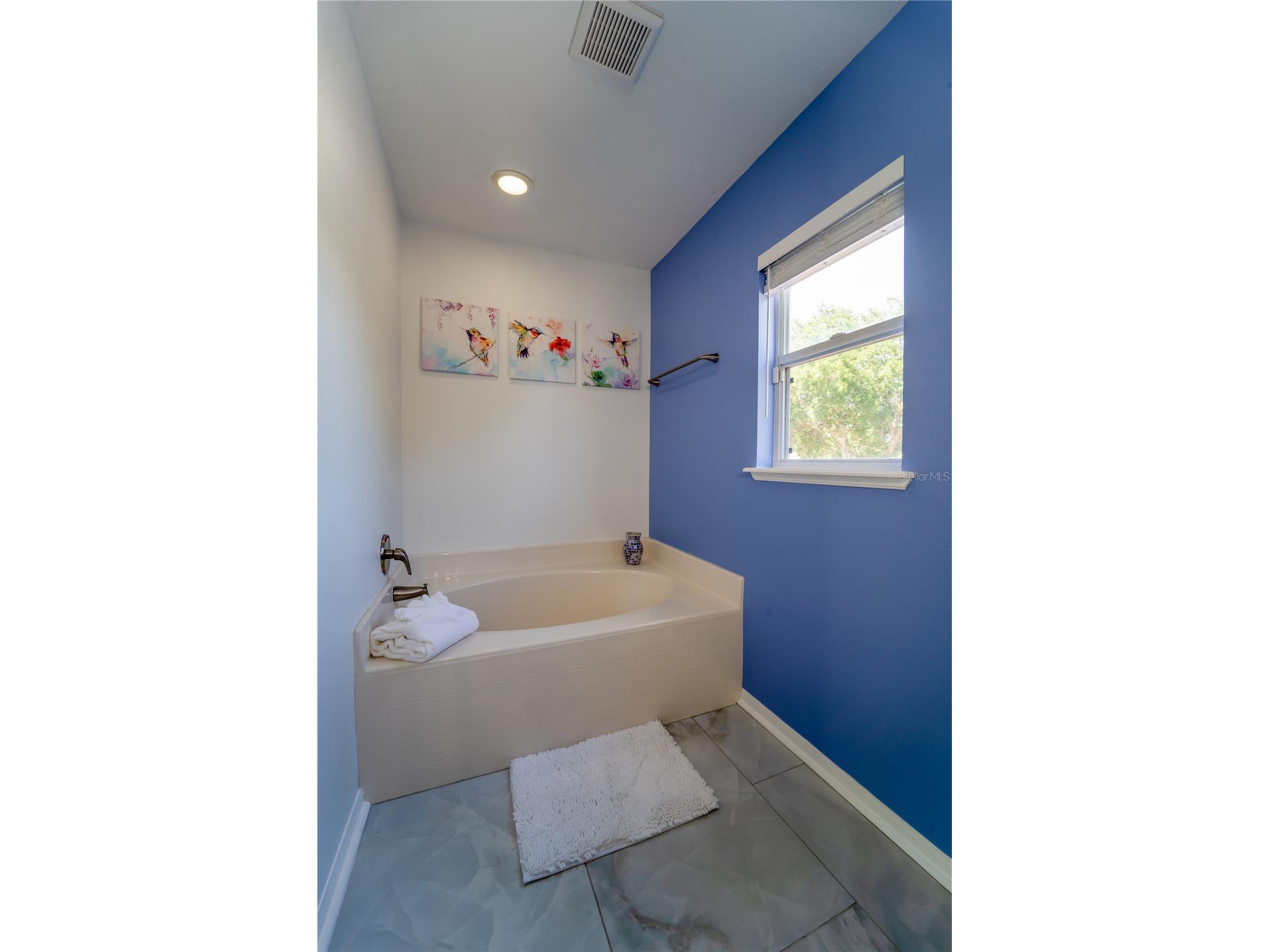 31704 Shin Court Wesley Chapel FL 33545 TB8506456 image33