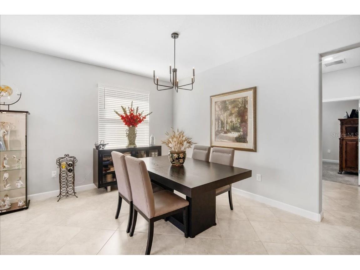 31707 Magna Gulf Loop San Antonio FL 33576 TB8440448 image13