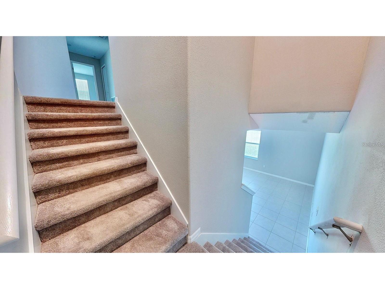 31707 Sun Kettle Loop Wesley Chapel FL 33545 TB8512485 image9