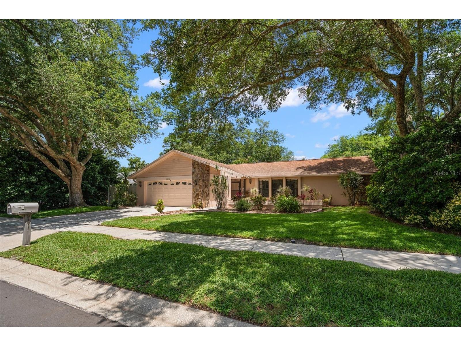 3171 Oak View Drive Palm Harbor FL 34684 TB8511969 image2