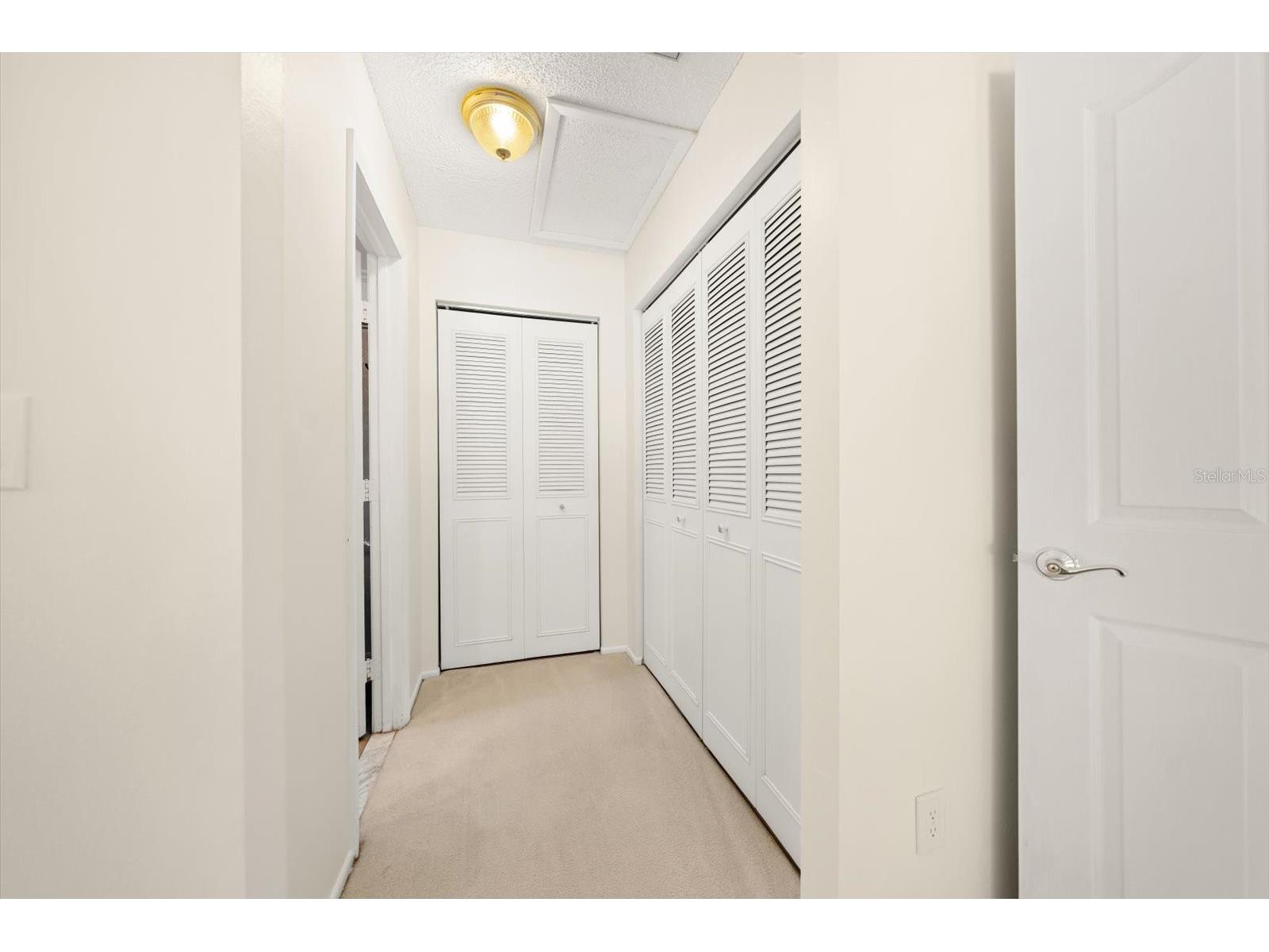 3171 Oak View Drive Palm Harbor FL 34684 TB8511969 image20