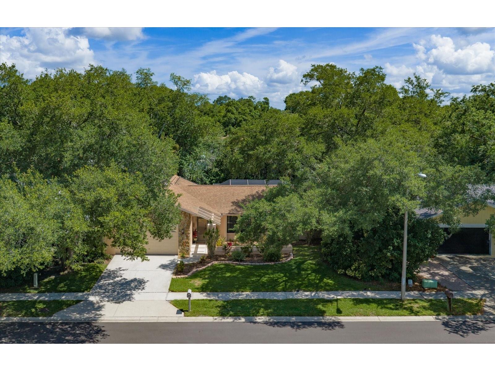 3171 Oak View Drive Palm Harbor FL 34684 TB8511969 image37