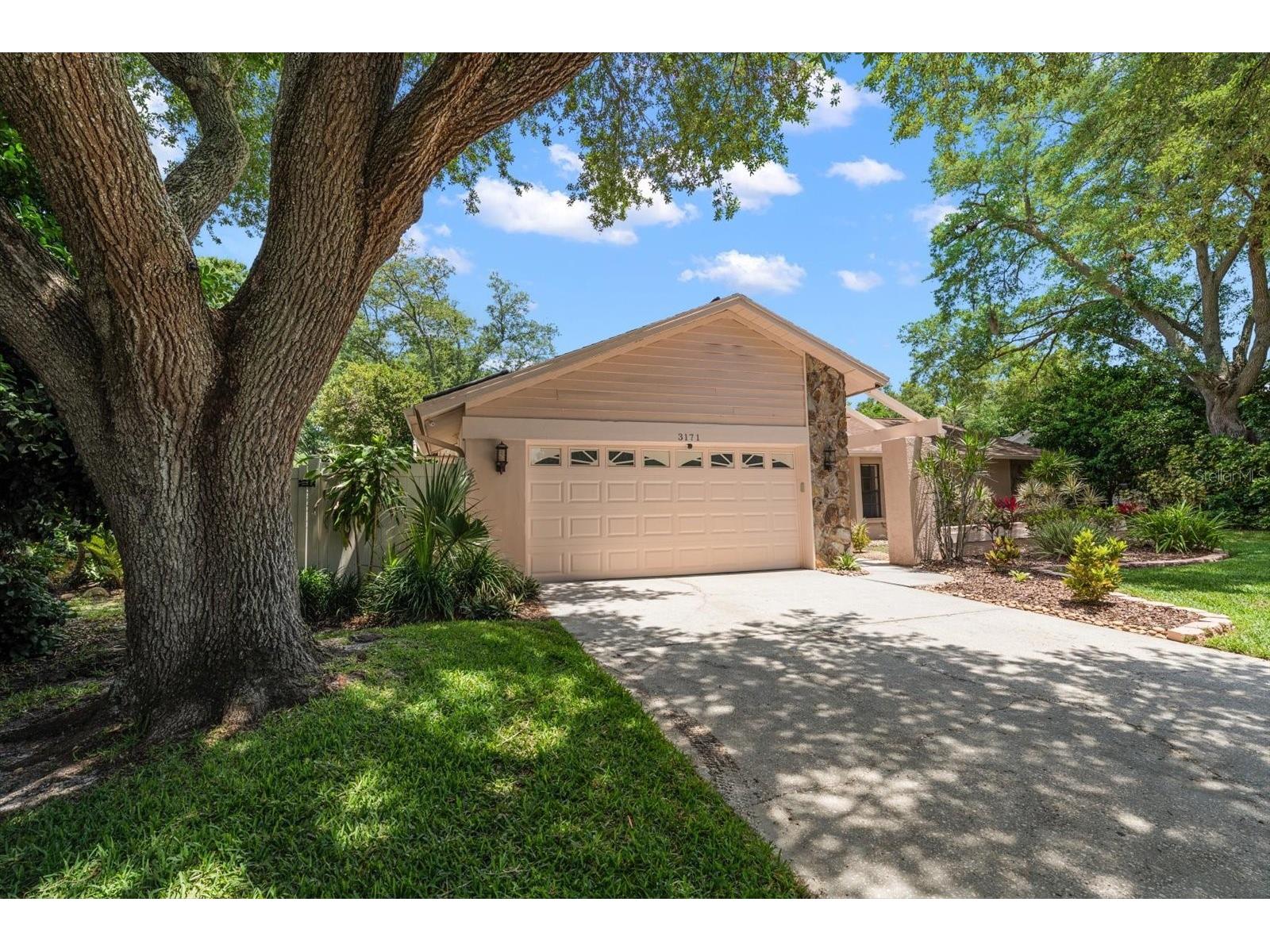 3171 Oak View Drive Palm Harbor FL 34684 TB8511969 image38