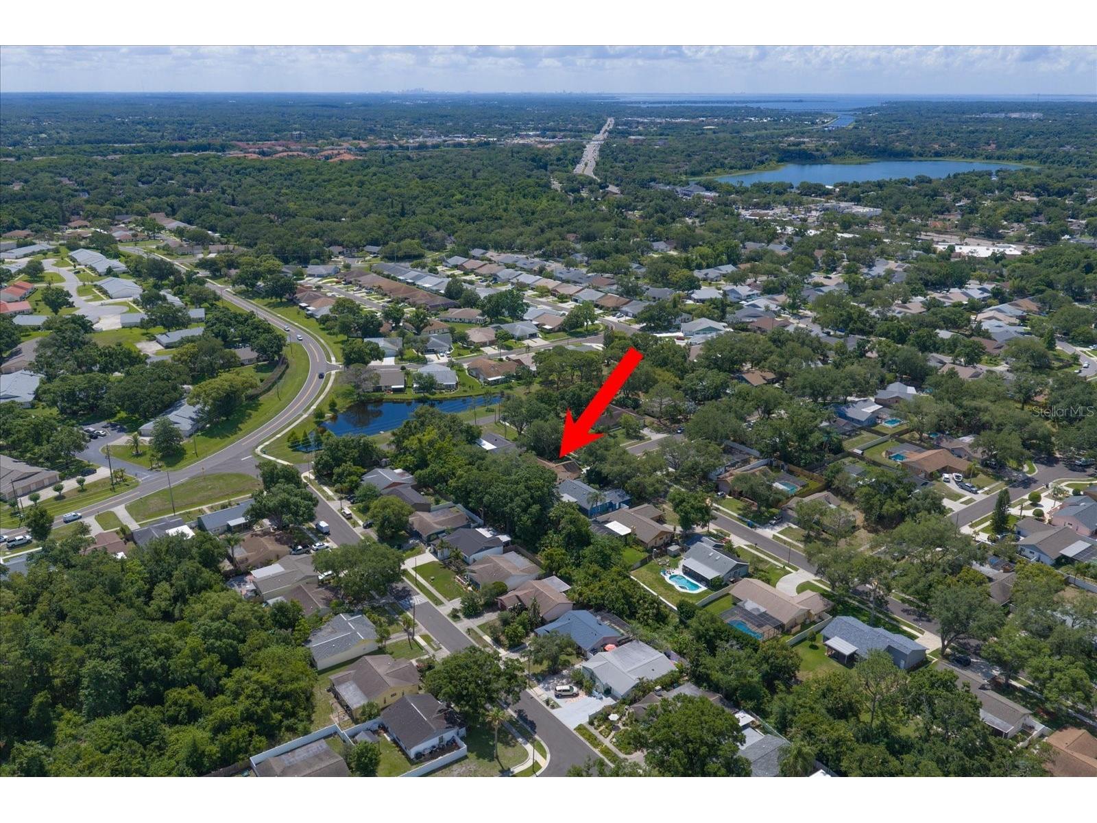 3171 Oak View Drive Palm Harbor FL 34684 TB8511969 image44