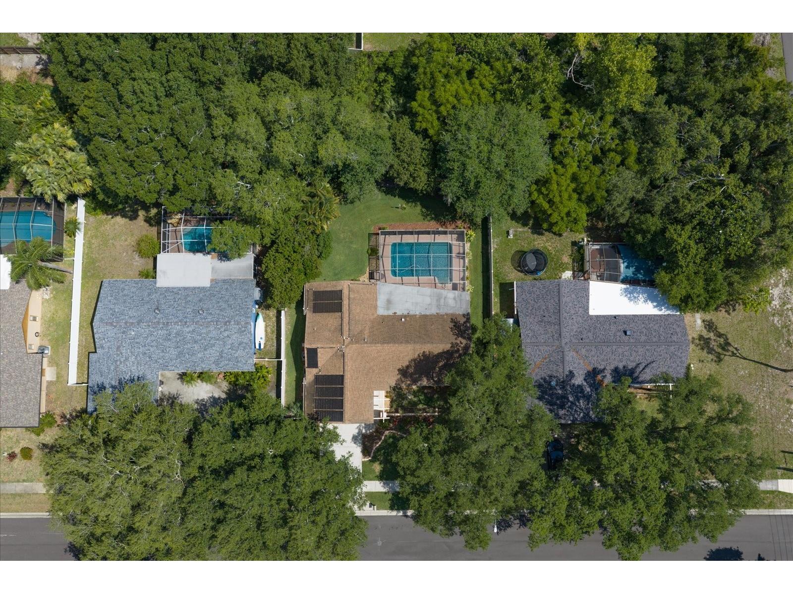 3171 Oak View Drive Palm Harbor FL 34684 TB8511969 image45