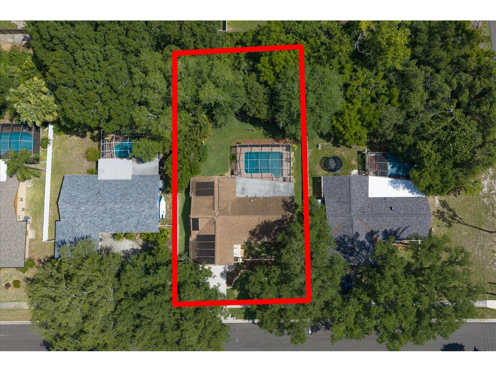 3171 Oak View Drive Palm Harbor FL 34684 TB8511969 image46