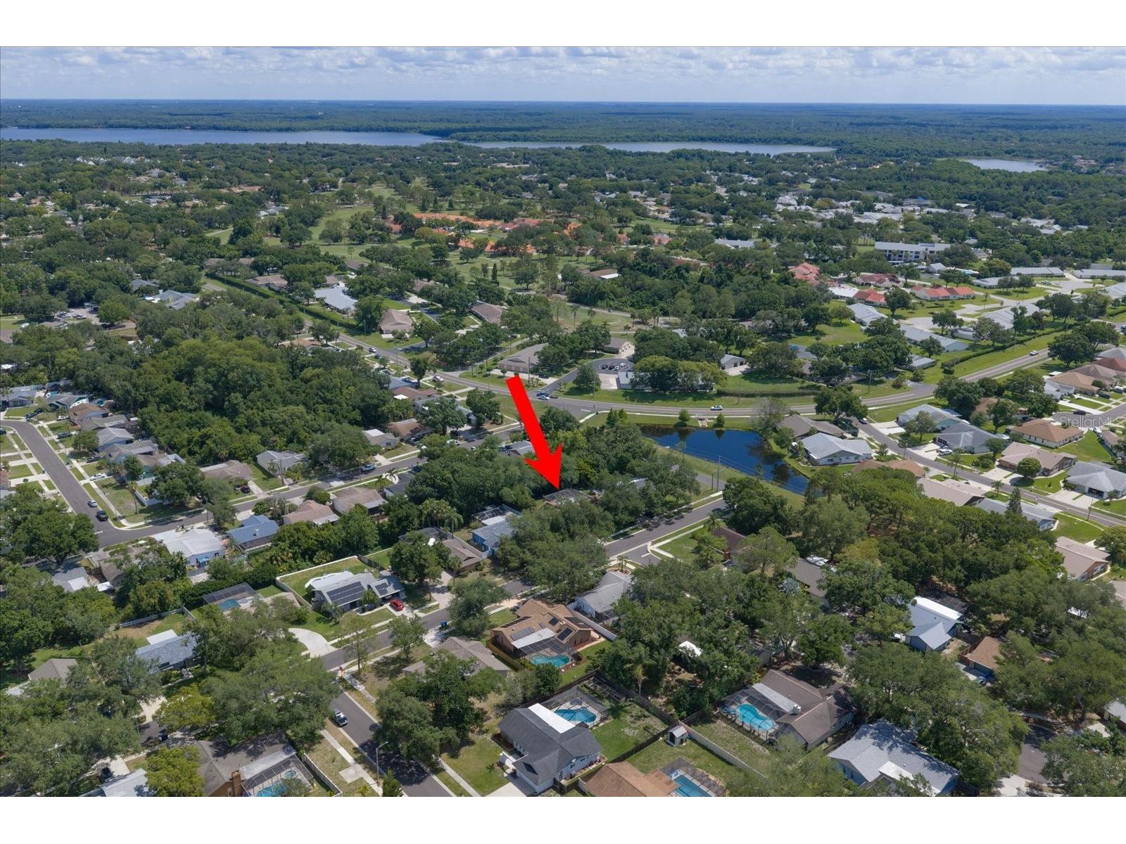 3171 Oak View Drive Palm Harbor FL 34684 TB8511969 image47
