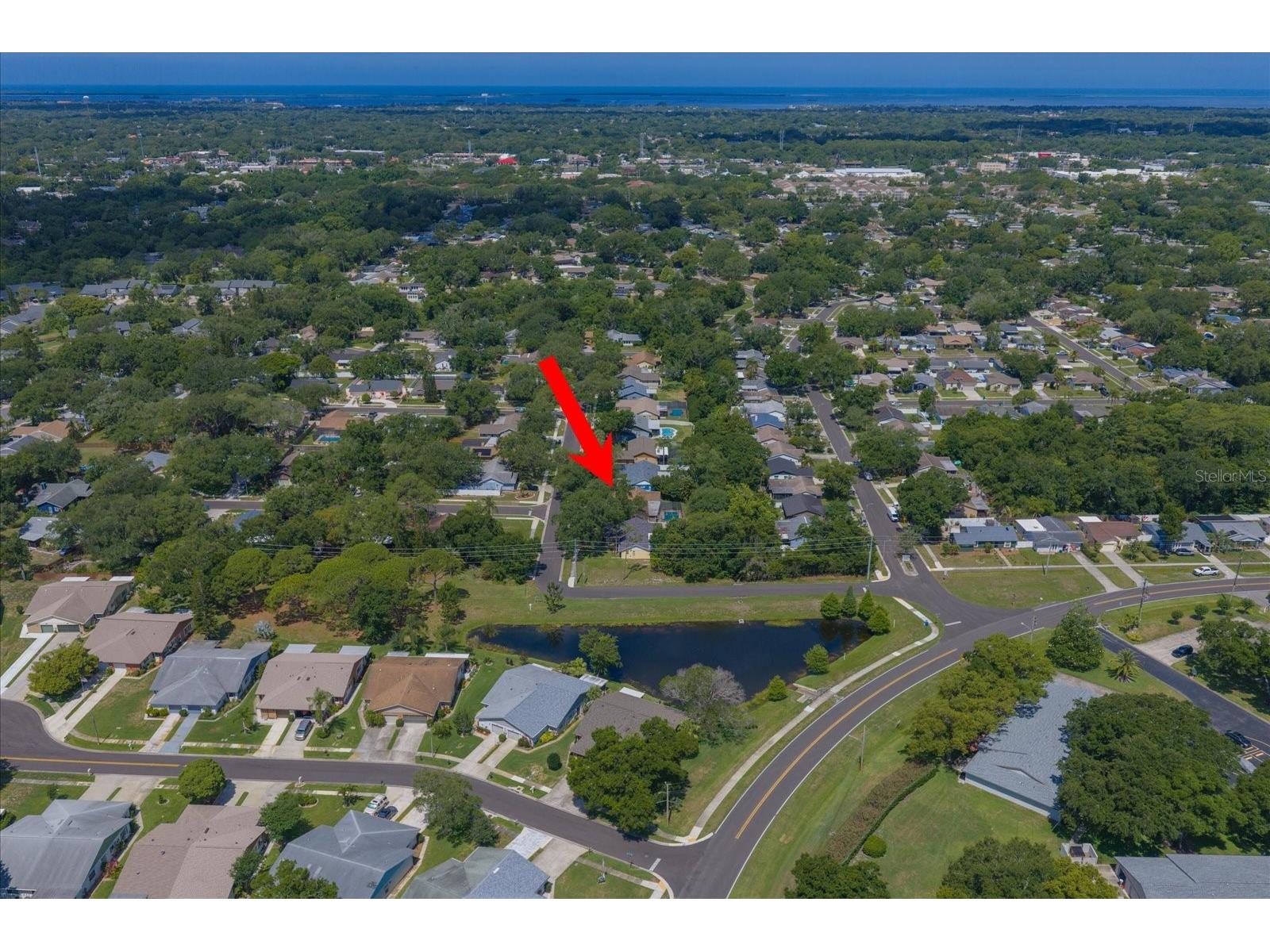 3171 Oak View Drive Palm Harbor FL 34684 TB8511969 image48