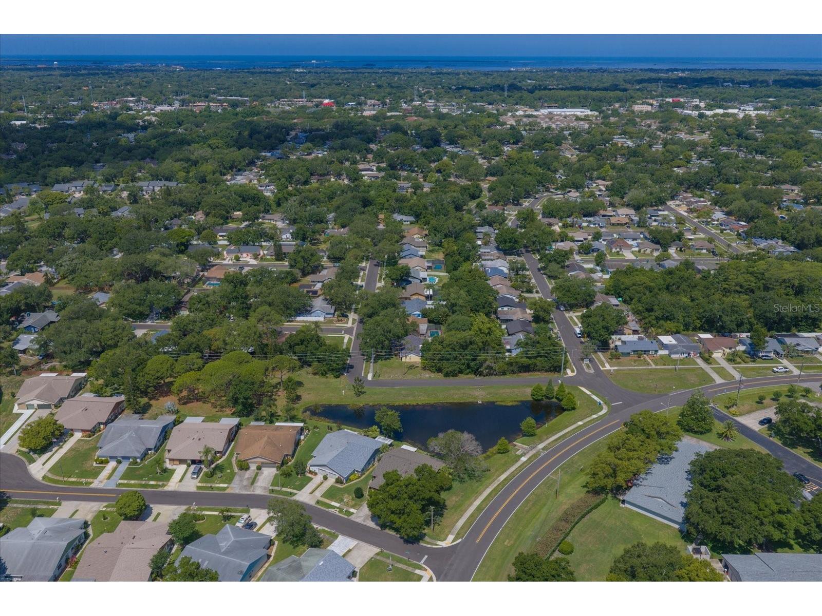 3171 Oak View Drive Palm Harbor FL 34684 TB8511969 image49